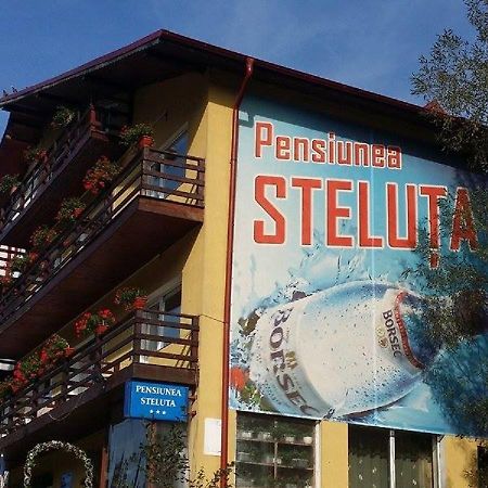 Pensiunea Steluta 프레데알 외부 사진