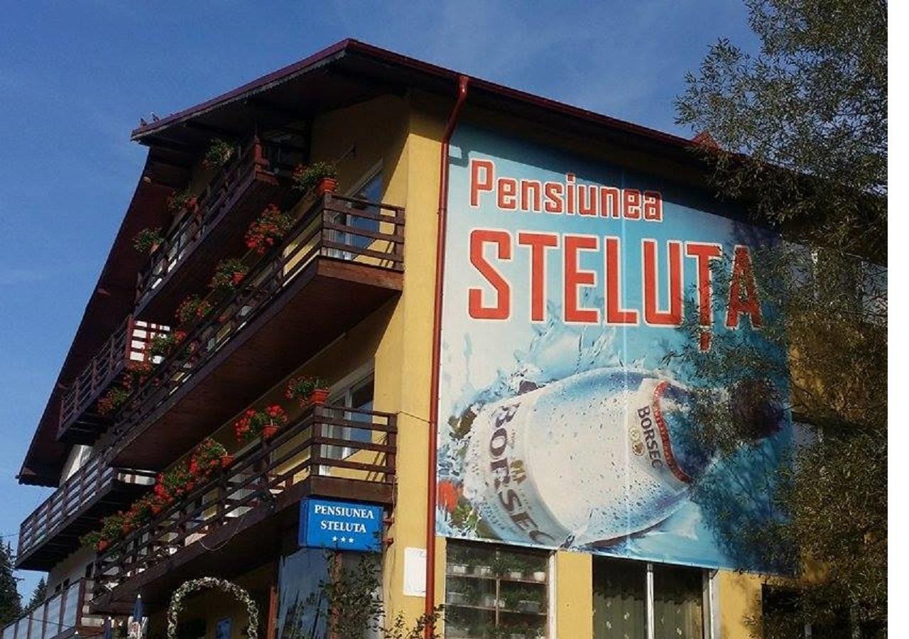 Pensiunea Steluta 프레데알 외부 사진